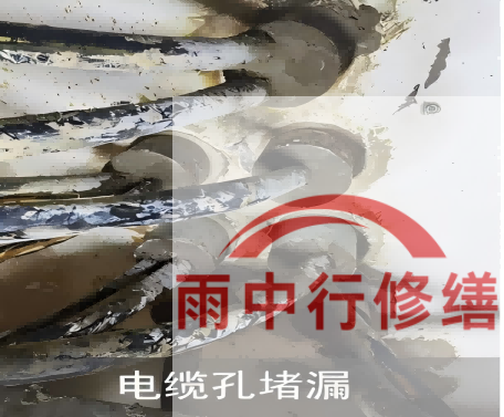 津南电缆线空洞堵漏加固案例